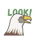 叫ぶ鳥たち（個別スタンプ：24）