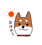 手書き柴犬スタンプ（個別スタンプ：1）