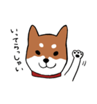手書き柴犬スタンプ（個別スタンプ：2）