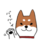 手書き柴犬スタンプ（個別スタンプ：4）