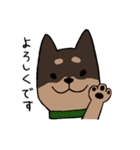 手書き柴犬スタンプ（個別スタンプ：5）