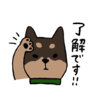 手書き柴犬スタンプ（個別スタンプ：6）