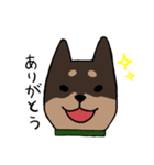 手書き柴犬スタンプ（個別スタンプ：7）