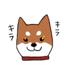 手書き柴犬スタンプ（個別スタンプ：9）