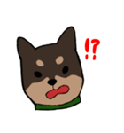 手書き柴犬スタンプ（個別スタンプ：10）