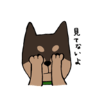 手書き柴犬スタンプ（個別スタンプ：11）