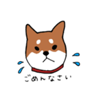 手書き柴犬スタンプ（個別スタンプ：12）