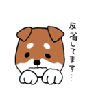 手書き柴犬スタンプ（個別スタンプ：13）