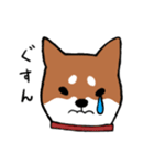 手書き柴犬スタンプ（個別スタンプ：15）
