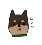 手書き柴犬スタンプ（個別スタンプ：17）