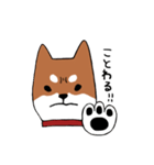 手書き柴犬スタンプ（個別スタンプ：22）