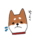 手書き柴犬スタンプ（個別スタンプ：23）