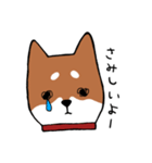 手書き柴犬スタンプ（個別スタンプ：24）