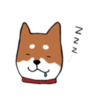 手書き柴犬スタンプ（個別スタンプ：25）