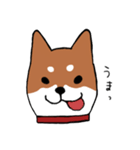 手書き柴犬スタンプ（個別スタンプ：26）