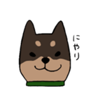 手書き柴犬スタンプ（個別スタンプ：28）