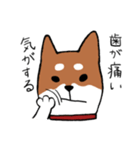 手書き柴犬スタンプ（個別スタンプ：32）