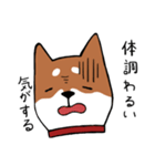 手書き柴犬スタンプ（個別スタンプ：33）