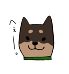 手書き柴犬スタンプ（個別スタンプ：34）