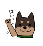 手書き柴犬スタンプ（個別スタンプ：37）