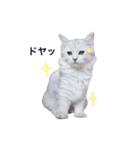 アイラブびょーちゃん（個別スタンプ：10）