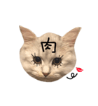 アイラブびょーちゃん（個別スタンプ：14）