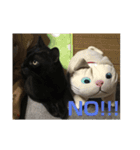 ねこ時々ちんちら（個別スタンプ：9）