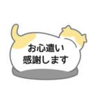 ふきだしネコが背中で語る（個別スタンプ：30）