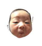 べびたんと愉快な仲間達（個別スタンプ：1）