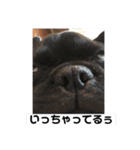 べびたんと愉快な仲間達（個別スタンプ：15）