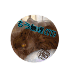 デグーの気持ちスタンプ2（個別スタンプ：34）