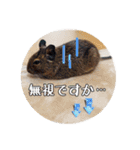 デグーの気持ちスタンプ2（個別スタンプ：38）