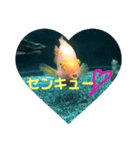 うみのなかまたち。はちみつ（個別スタンプ：8）