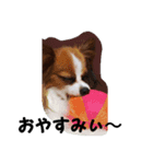 ずぅスタ（個別スタンプ：1）