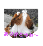 ずぅスタ（個別スタンプ：5）