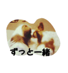 ずぅスタ（個別スタンプ：7）