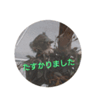 ほっこり実写＊動物・魚・花・空（個別スタンプ：28）