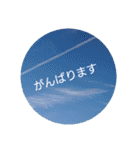 ほっこり実写＊動物・魚・花・空（個別スタンプ：39）