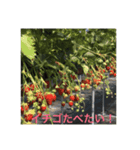 一言添えて（個別スタンプ：7）