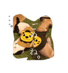りょうや3（個別スタンプ：16）