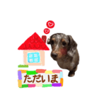 我が家の愛犬 (F)（個別スタンプ：5）
