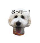 スタンプーのスタンプ（個別スタンプ：3）