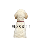 スタンプーのスタンプ（個別スタンプ：8）