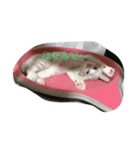 Winとろくすけ（個別スタンプ：4）