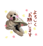 shi.ra.su.（個別スタンプ：6）