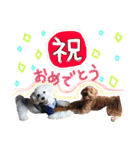 shi.ra.su.（個別スタンプ：8）