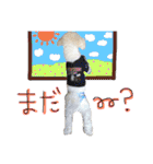 shi.ra.su.（個別スタンプ：18）