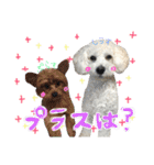 shi.ra.su.（個別スタンプ：22）