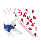shi.ra.su.（個別スタンプ：33）