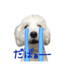 shi.ra.su.（個別スタンプ：34）